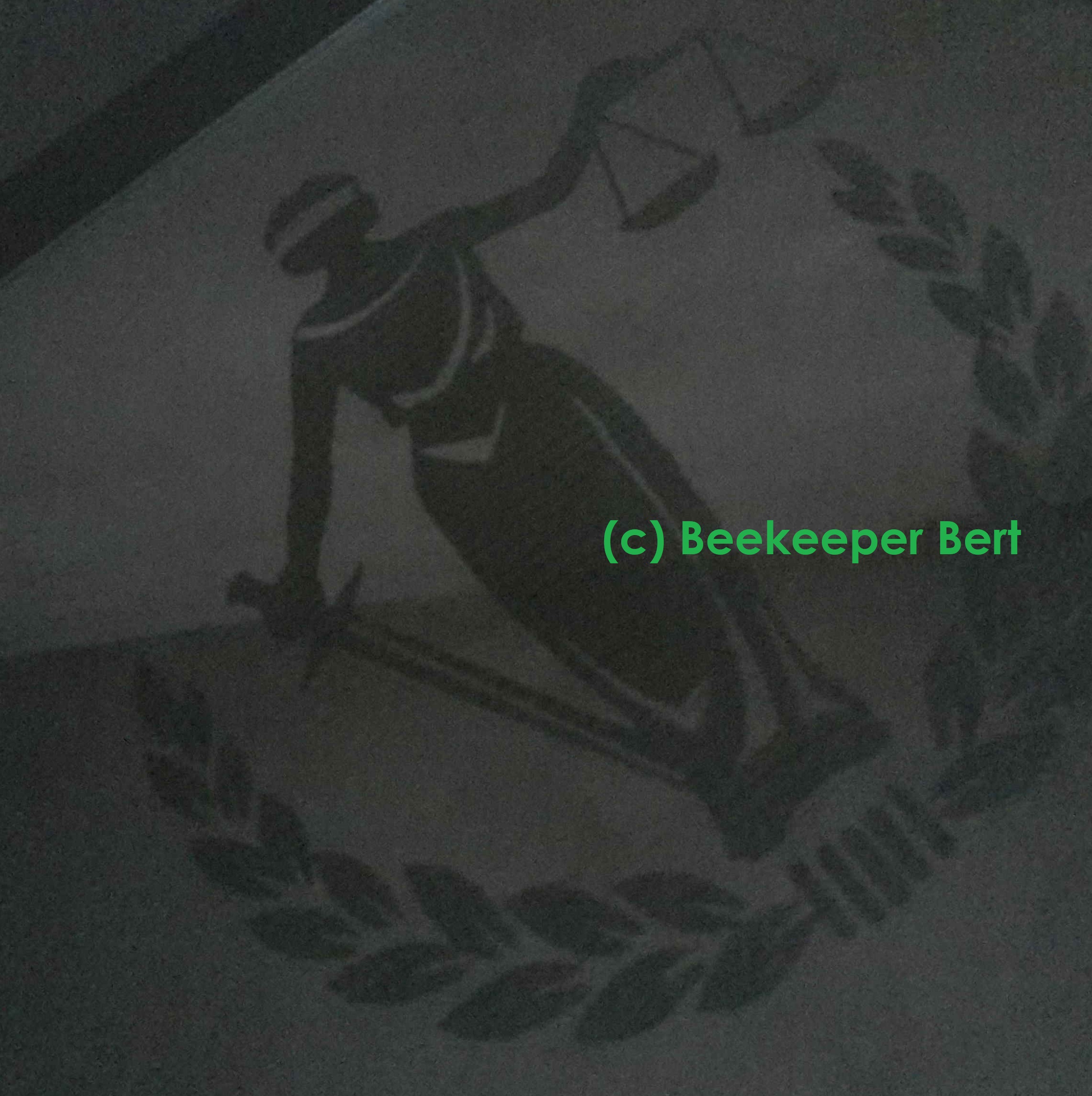 pyrography-mirror-plate-justitia