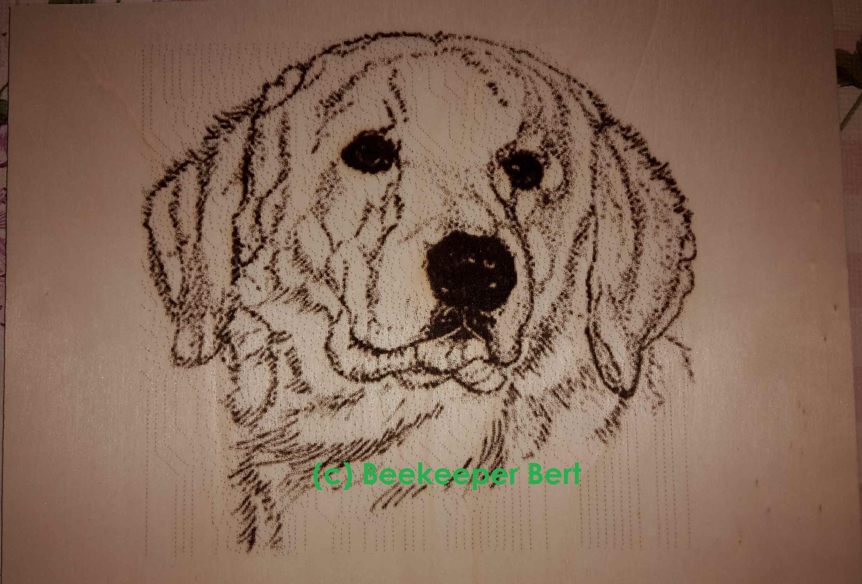 pyrography-wood-plate-dog-kuvasz-face